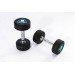 Гантели в уретане 2 кг Live Pro Studio Dumbbells LP8075-02 75_75