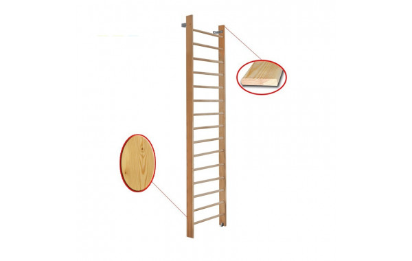 Стенка гимнастическая 320х80см массив.сосна Dinamika ZSO-000056 600_380